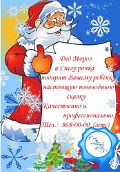 Дед Мороз и Снегурочка на дом Витебск